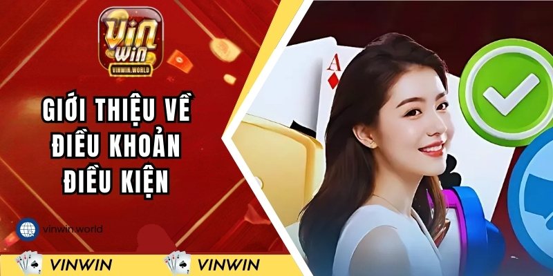 Giới thiệu về điều khoản điều kiện VINWIN